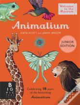 Animalium (Junior Edition)