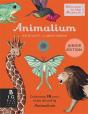 Animalium (Junior Edition) - Preview