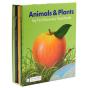 Animals And Plants - Preview