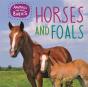 Animals And Their Babies: Horses & Foals - Preview