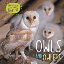 Animals And Their Babies: Owls & Owlets