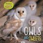 Animals And Their Babies: Owls & Owlets - Preview