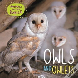 Capa do artigo Animals And Their Babies: Owls & Owlets