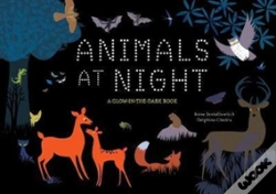 Capa do artigo Animals At Night