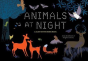 Animals At Night - Preview