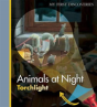 Animals At Night - Preview