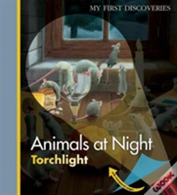 Capa do artigo Animals At Night