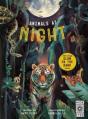 Animals At Night - Preview