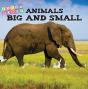 Animals Big And Little - Preview