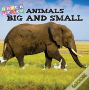 Capa do artigo Animals Big And Little