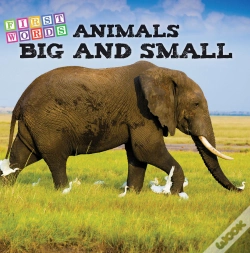 Capa do artigo Animals Big And Little