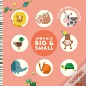 Capa do artigo Animals Big & Small