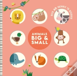 Capa do artigo Animals Big & Small