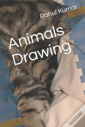Capa do artigo Animals Drawing