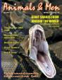Animals & Men #50 - Preview