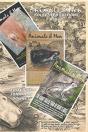 Animals & Men #58-61 - Preview