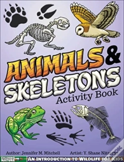 Capa do artigo Animals & Skeletons Activity Book