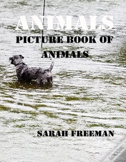 Capa do artigo Animals
