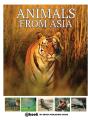 Animals From Asia - Preview
