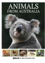 Animals From Australia - Preview