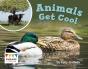 Animals Get Cool - Preview