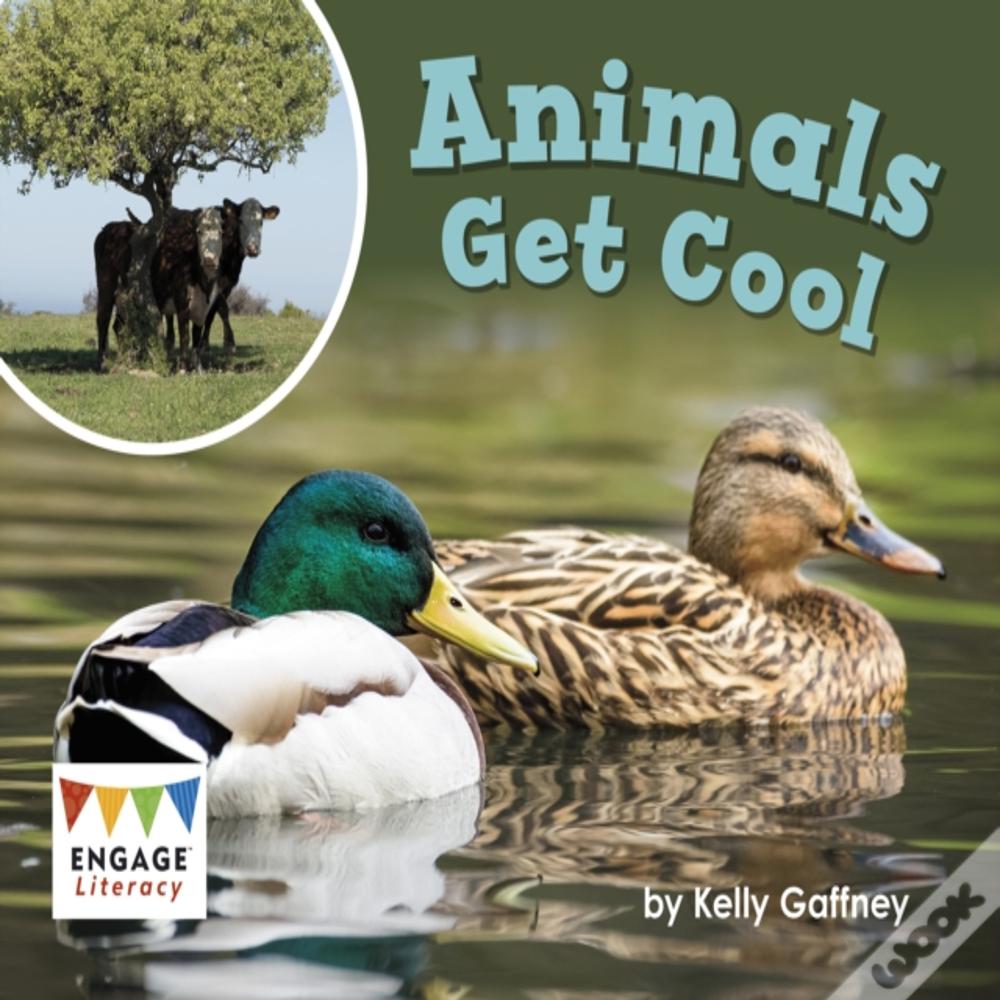 Animals Get Cool