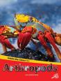 Animals Have Classes Too! Arthropods - Preview