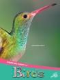 Animals Have Classes Too! Birds - Preview