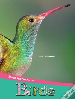 Capa do artigo Animals Have Classes Too! Birds