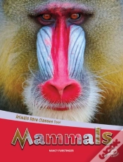 Capa do artigo Animals Have Classes Too! Mammals