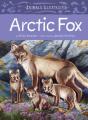 Animals Illustrated: Arctic Fox - Preview