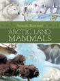 Animals Illustrated: Arctic Land Mammals - Preview