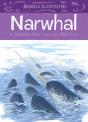 Animals Illustrated: Narwhal - Preview