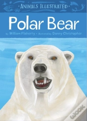 Capa do artigo Animals Illustrated: Polar Bear