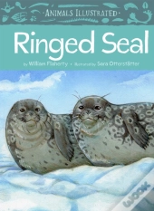 Animals Illustrated: Ringed Seal