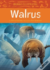Animals Illustrated: Walrus