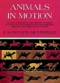 Animals In Motion - Preview