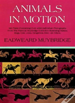 Capa do artigo Animals In Motion