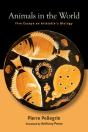 Animals In The World - Preview