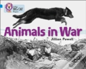 Animals In War