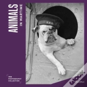 Animals In Wartime