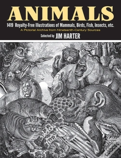 Capa do artigo Animals
