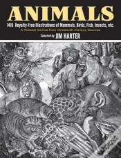 Capa do artigo Animals