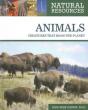 Animals - Preview