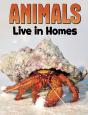 Animals Live In Homes - Preview