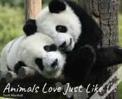 Capa do artigo Animals Love Just Like Us