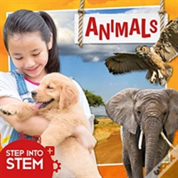 Capa do artigo Animals