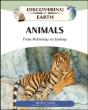 Animals - Preview
