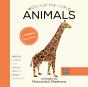 Animals (Multilingual Board Book) - Preview
