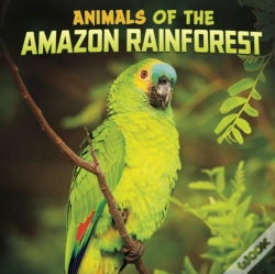 Capa do artigo Animals Of The Amazon Rainforest